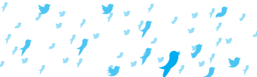 como ganhar seguidores no twitter - otimize seu perfil
