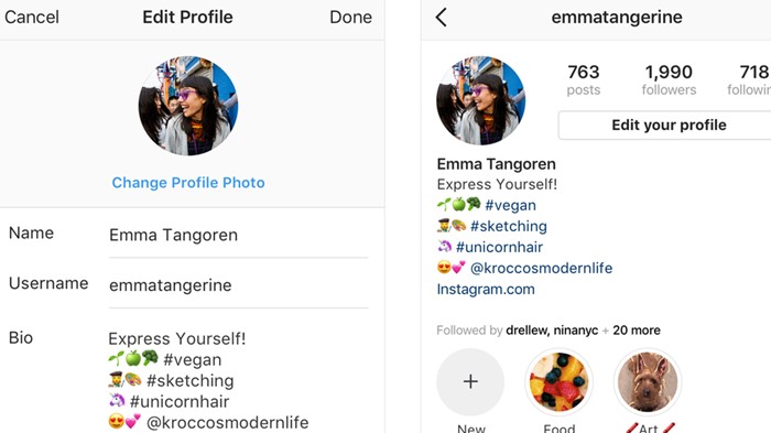 bio do instagram - como ganhar seguidores no instagram