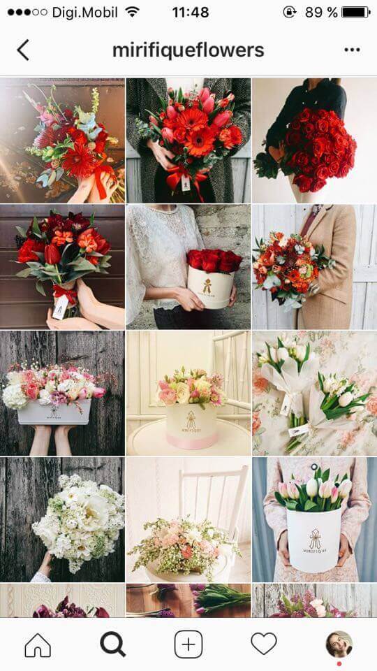 feed do instagram de flores